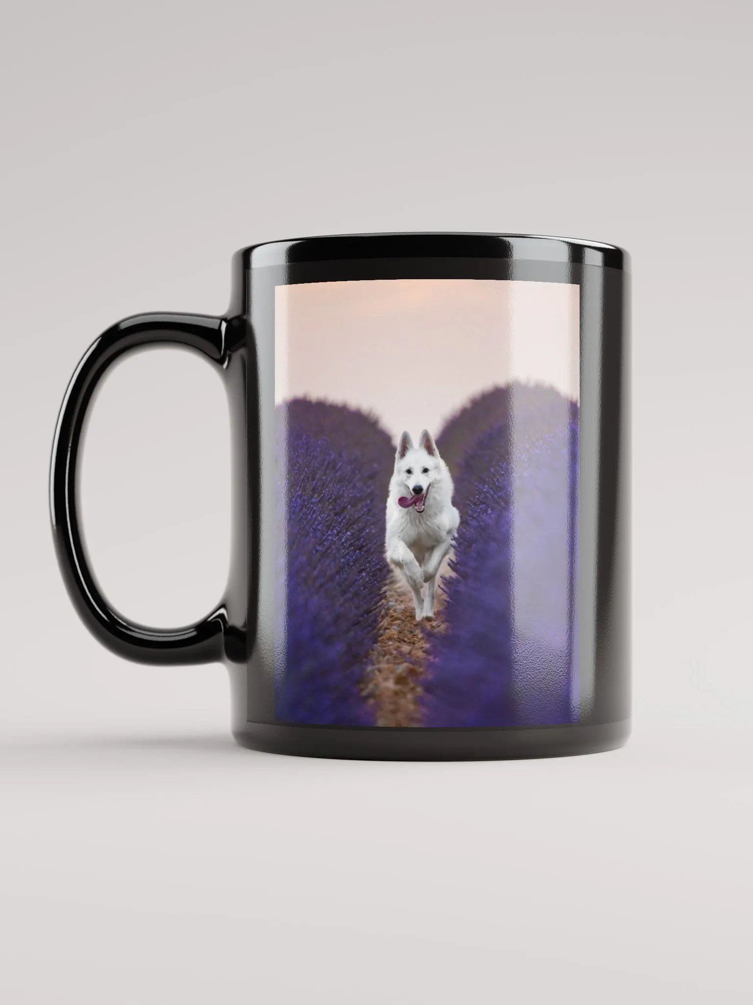 Rasta in the lavender fields product image (11)