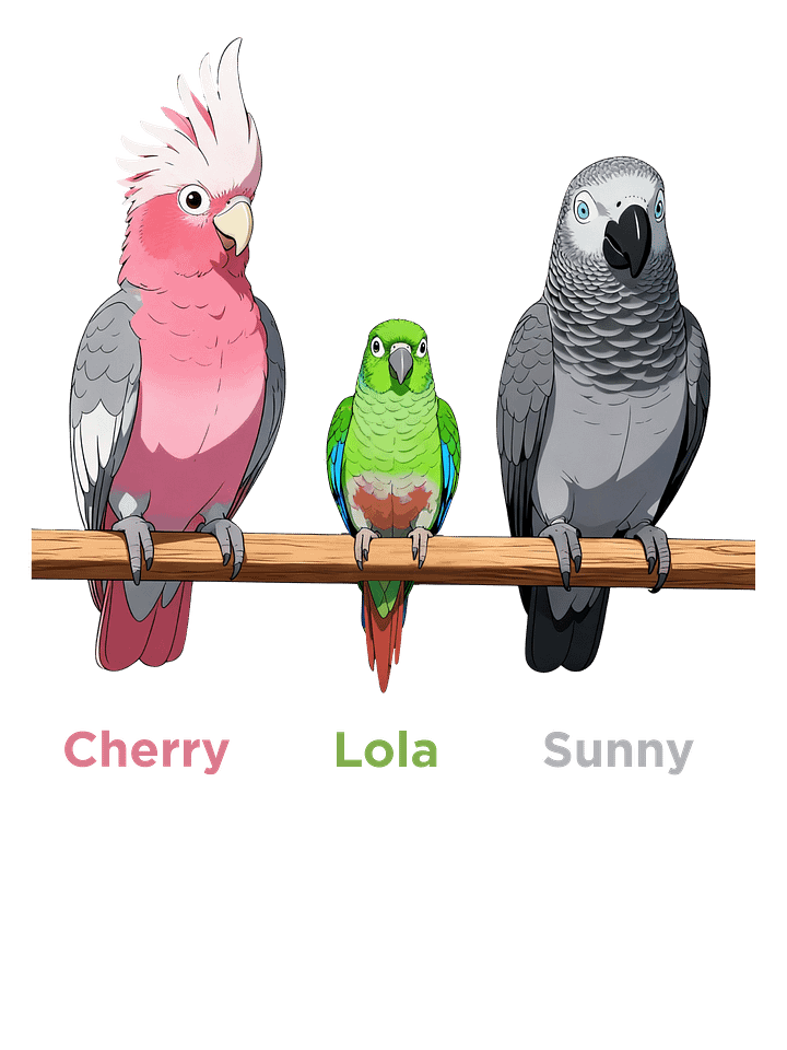 Cherry, Lola & Sunny Kids T-Shirt product image (2)
