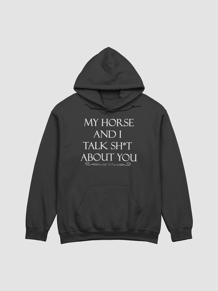 My Horse and I Talk About You Hoodie product image (1)