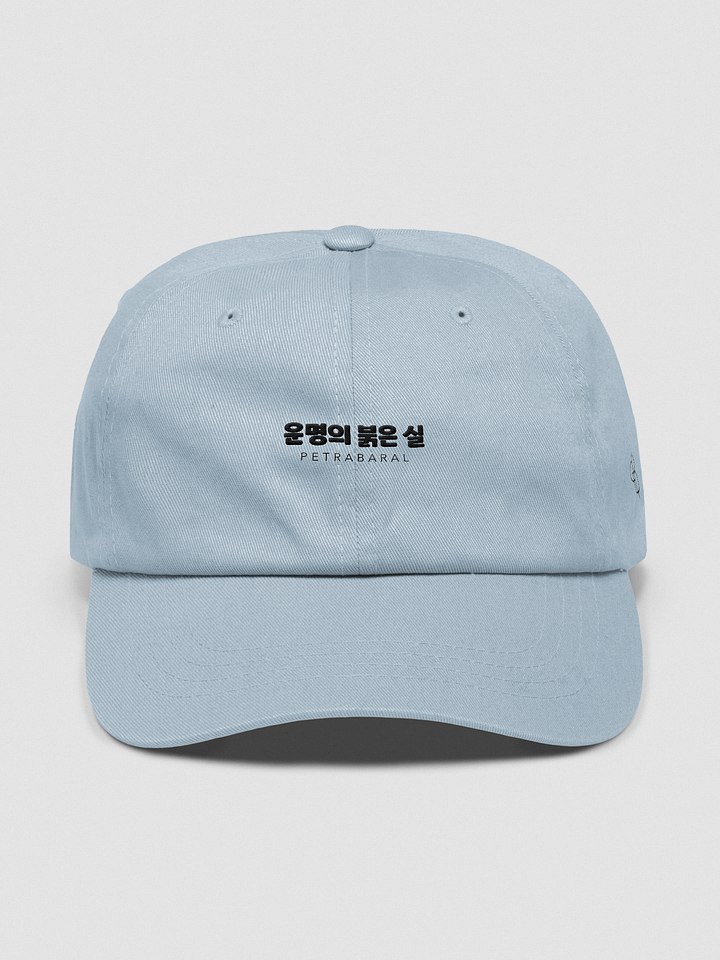 TRTOF Dad Hat product image (1)