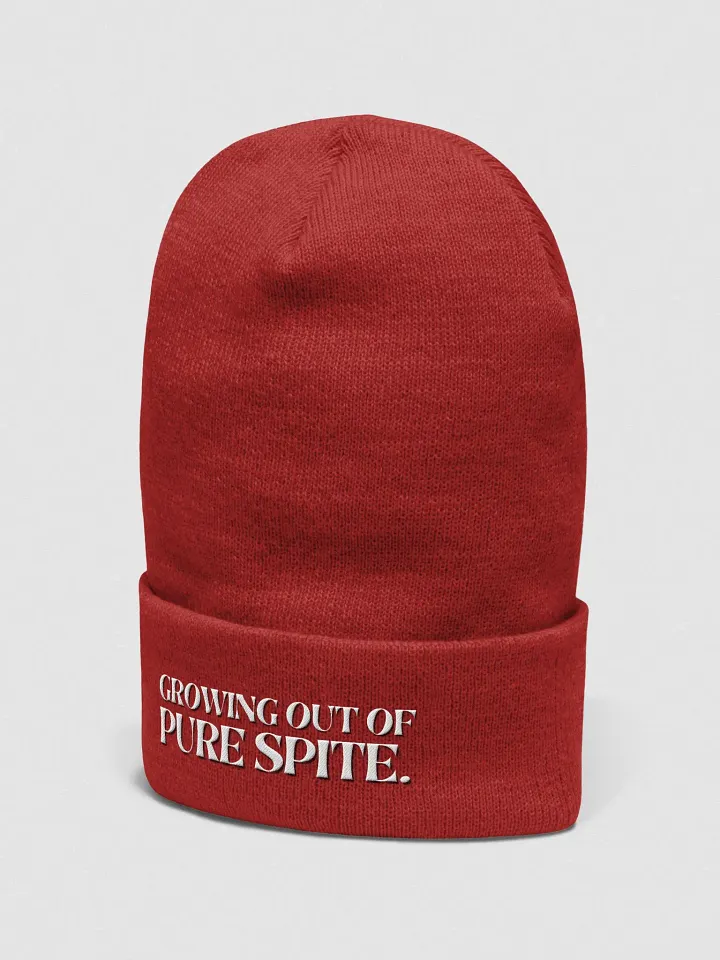 GROWING OUT OF PURE SPITE cuffed beanie product image (32)
