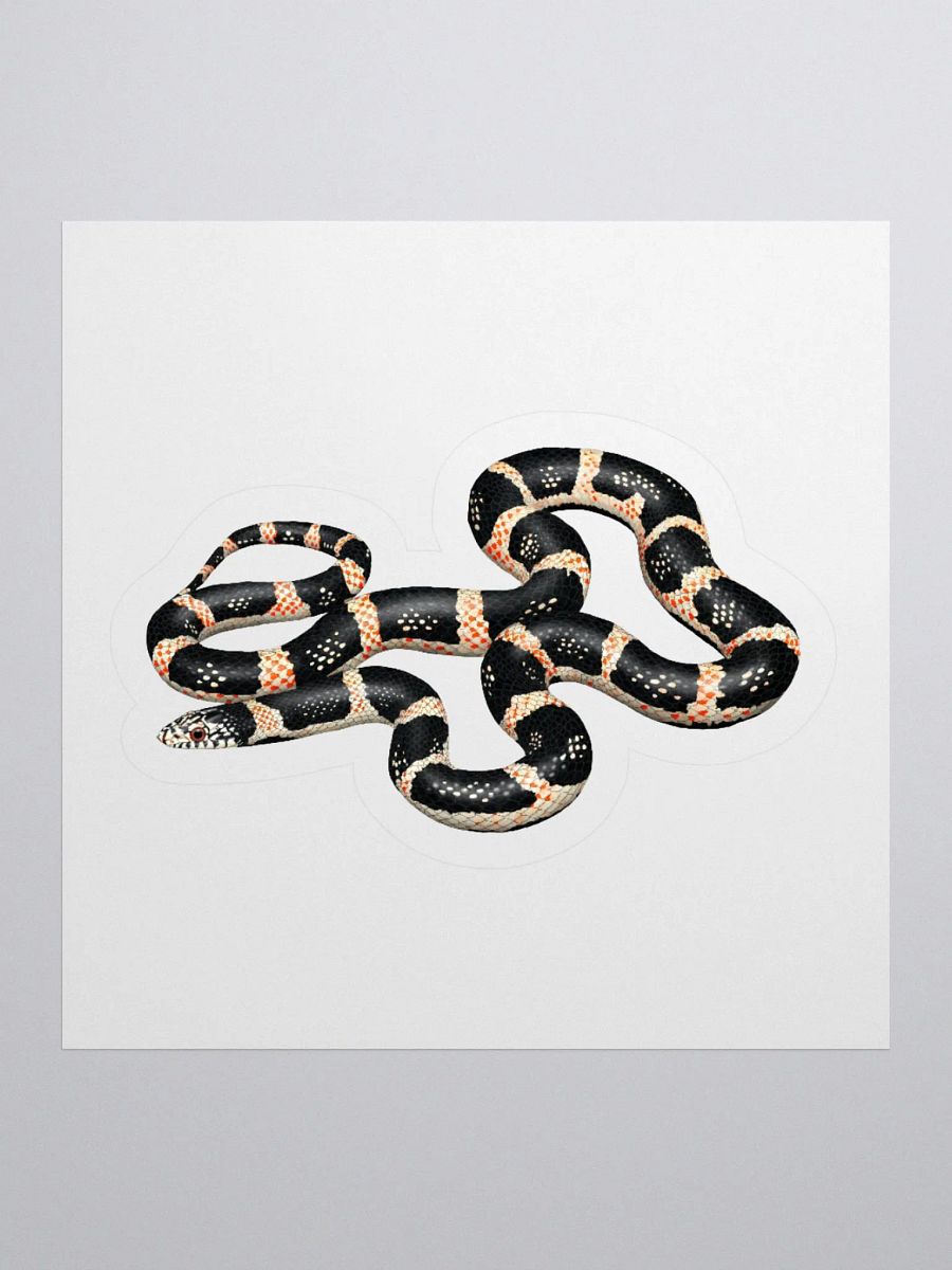 Die-Cut Sticker – Longnosed Snake product image (1)