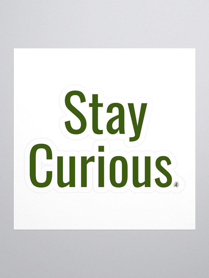Stay Curious Monstera cut out sticker product image (1)