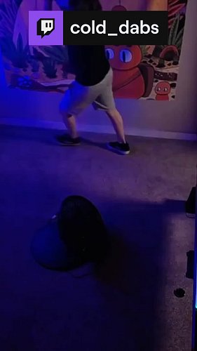 FLYING ELBOW DROP TO THE FAN...OH YEAHHH (ID: Eliminate - Breaksh!t)

#dubstep #DJ #Twitch #streamer #funny #colddabs #fthefa...