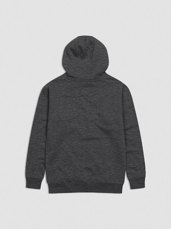 NEMS NOODLES Embroidered Hoodie product image (21)