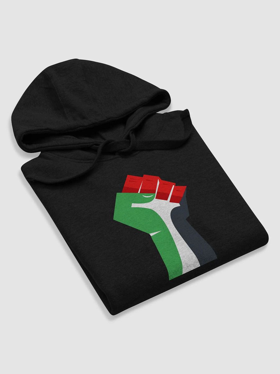 Free Palestine Unisex Premium Hoodie product image (6)