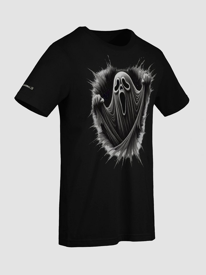 Paranormal 54 Ghost product image (2)