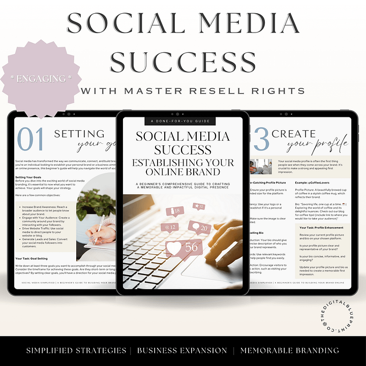 PLR Fully Written eBook | Social Media Success | Beginner's Guide product image (1)