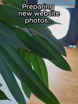 Website refresh in progress! 📸✨ Capturing some new photos for the Snuggly Friends collection. It looks calm, but behind the scenes, it’s me on the floor trying to get the perfect light! 😅 Which cover is your favorite? Let me know! 👇 #snugglyfriends #colortherapy #adultcoloringbook #cozyhobbies #coloriage 