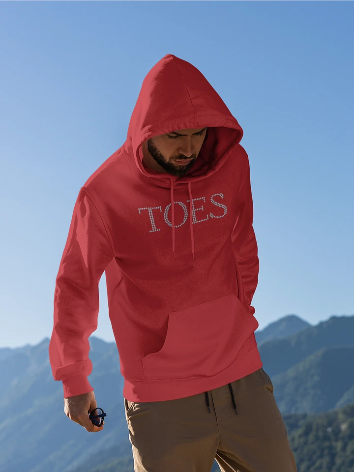 TOES classic hoodie product image (8)
