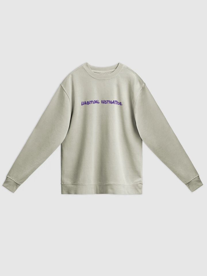 HABITUAL INSTIGATOR (berry long-line design) printed pigment crewneck product image (3)