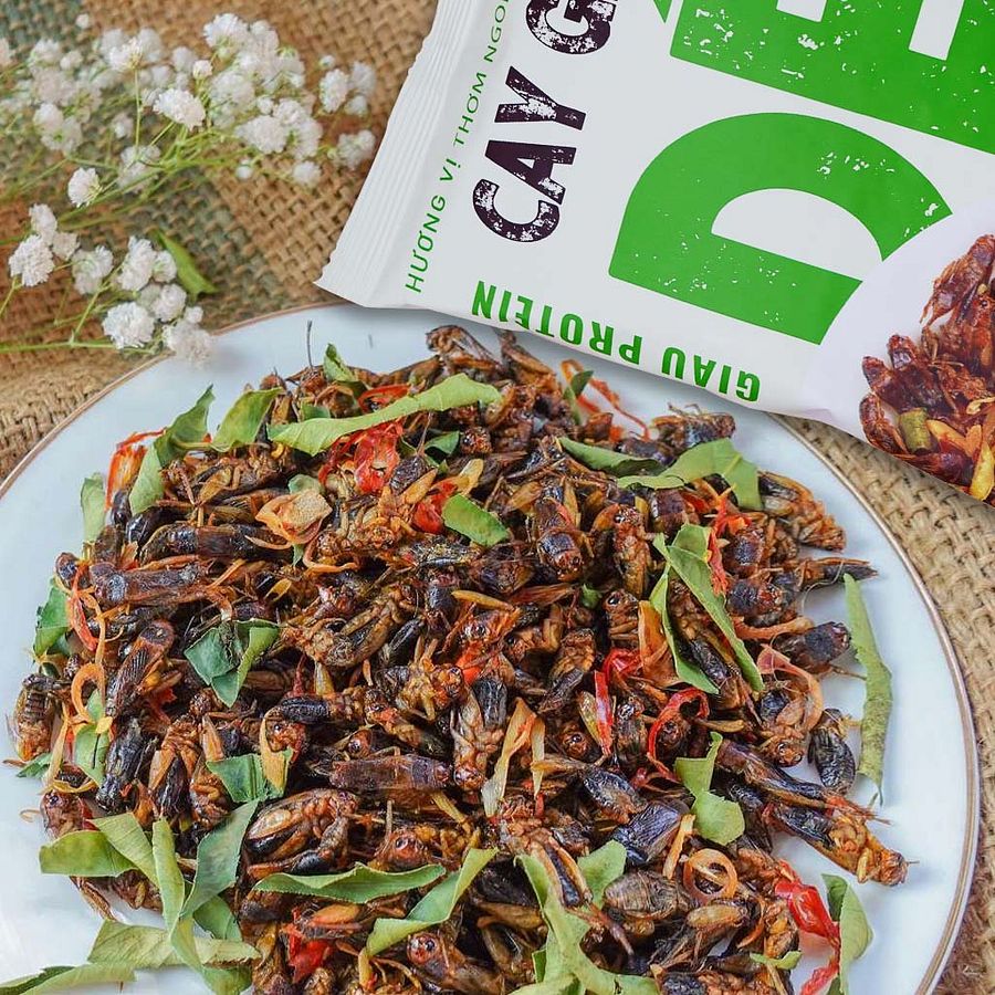 Dế sấy cay giòn product image (4)