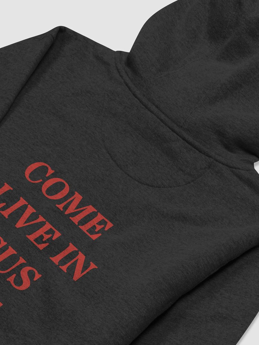 Come Alive In Jesus Name | Hoodie | Red Print product image (26)