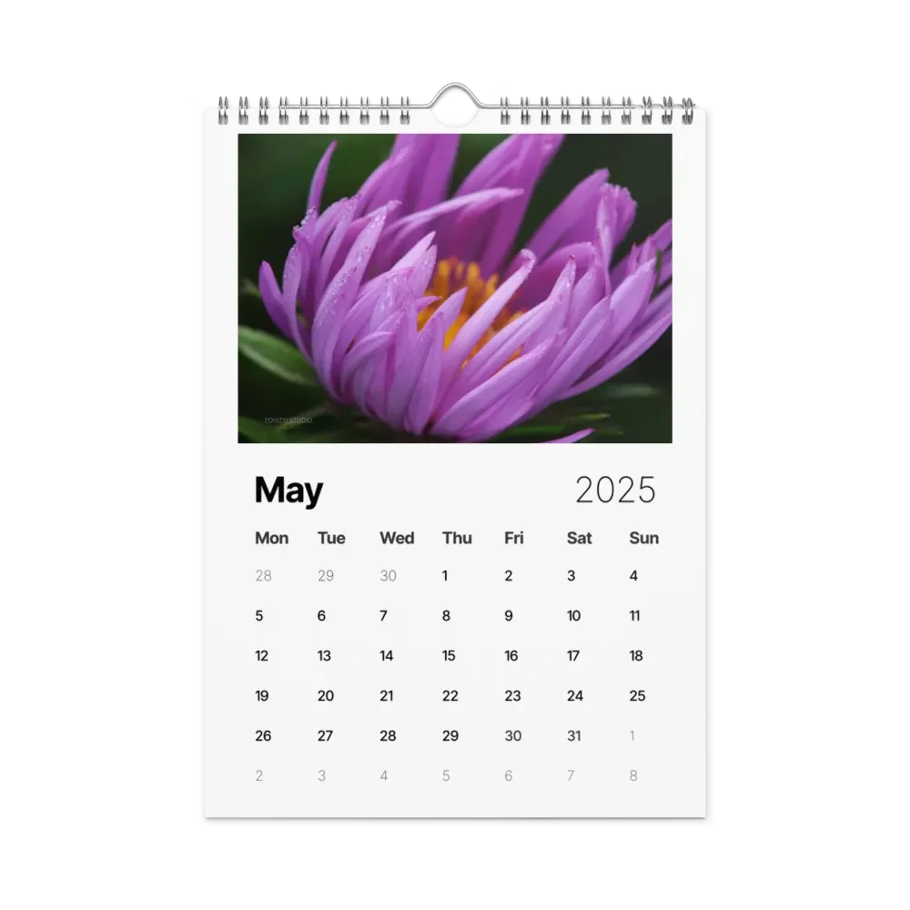 Pure Colors 2025 Wall Calendar product image (6)