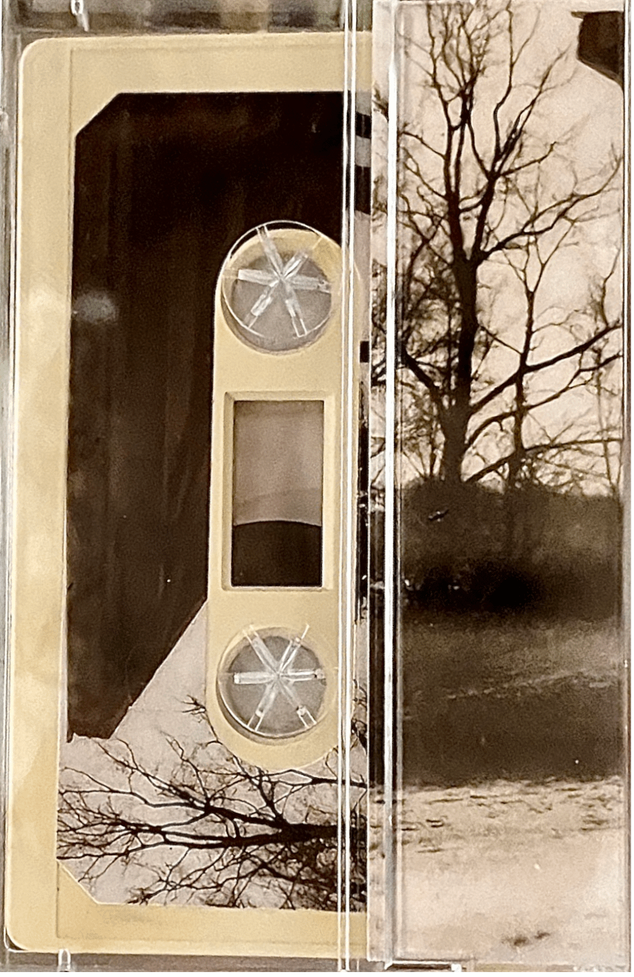 Dead, Dead Swans - Lenses [Cassette] product image (2)