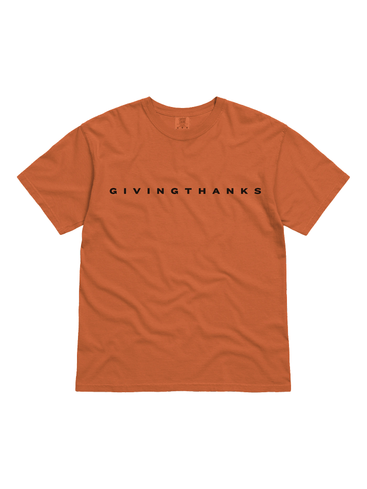 Plain Thanksgiving _ T Shirt product image (1)