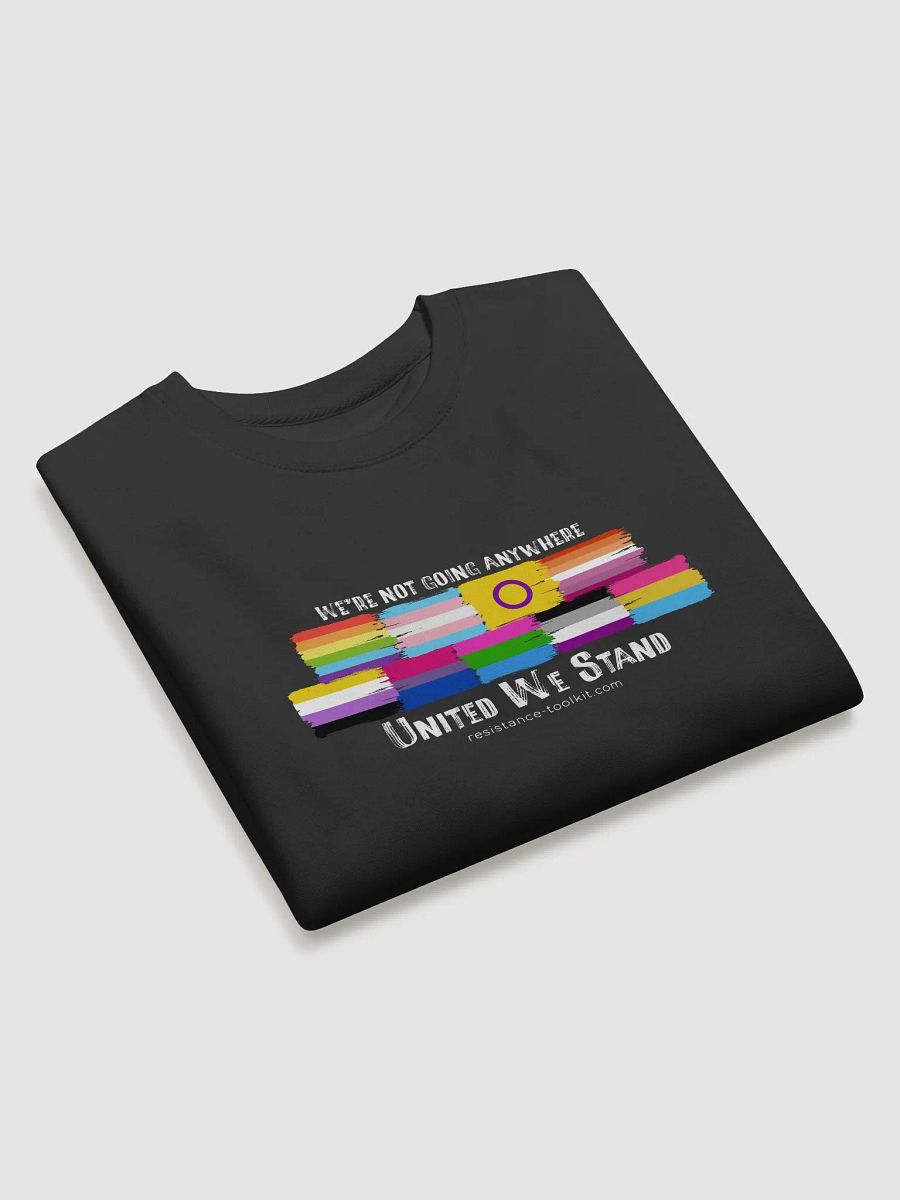 United We Stand - Sweatshirt product image (11)