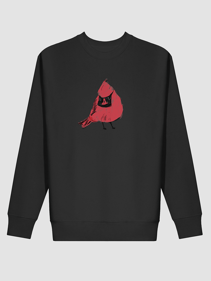 Shirley's Cardinal Sweatshirt product image (8)