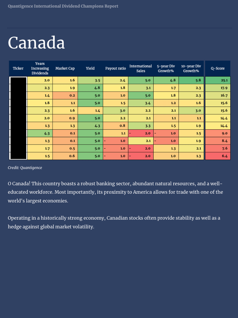 Quantigence International Dividend Champions Report: Year End 2024 product image (3)