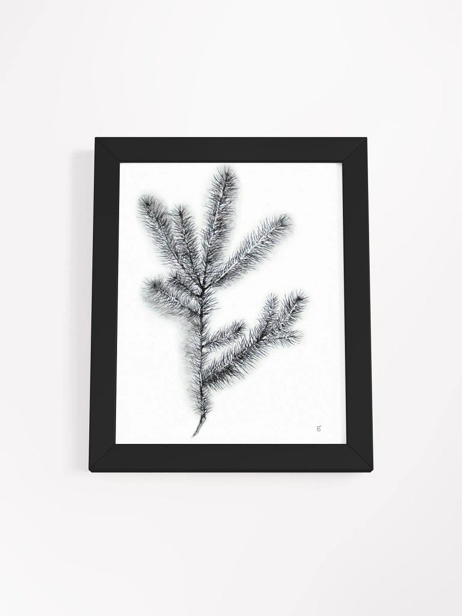 Botanical Bliss Framed Matte Poster - Spruce Branch product image (1)