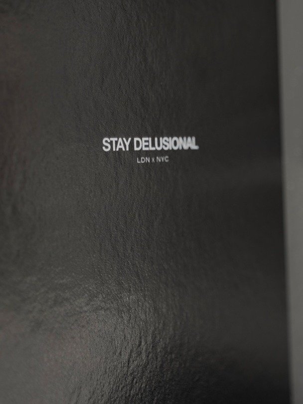 The Delusional Diary product image (3)
