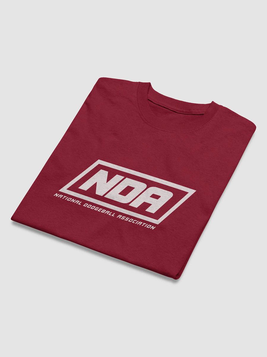 National Dodgeball Association T-Shirt (Light) product image (22)