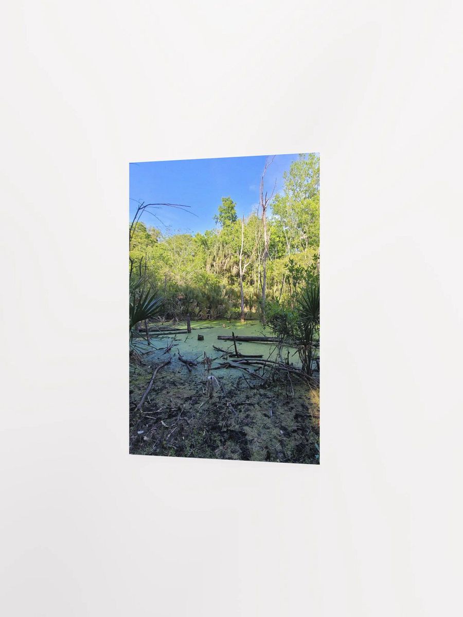 FL Swamp product image (16)