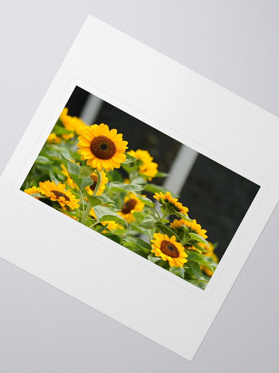 Sunflower Serenade Kiss Cut Stickers product image (2)