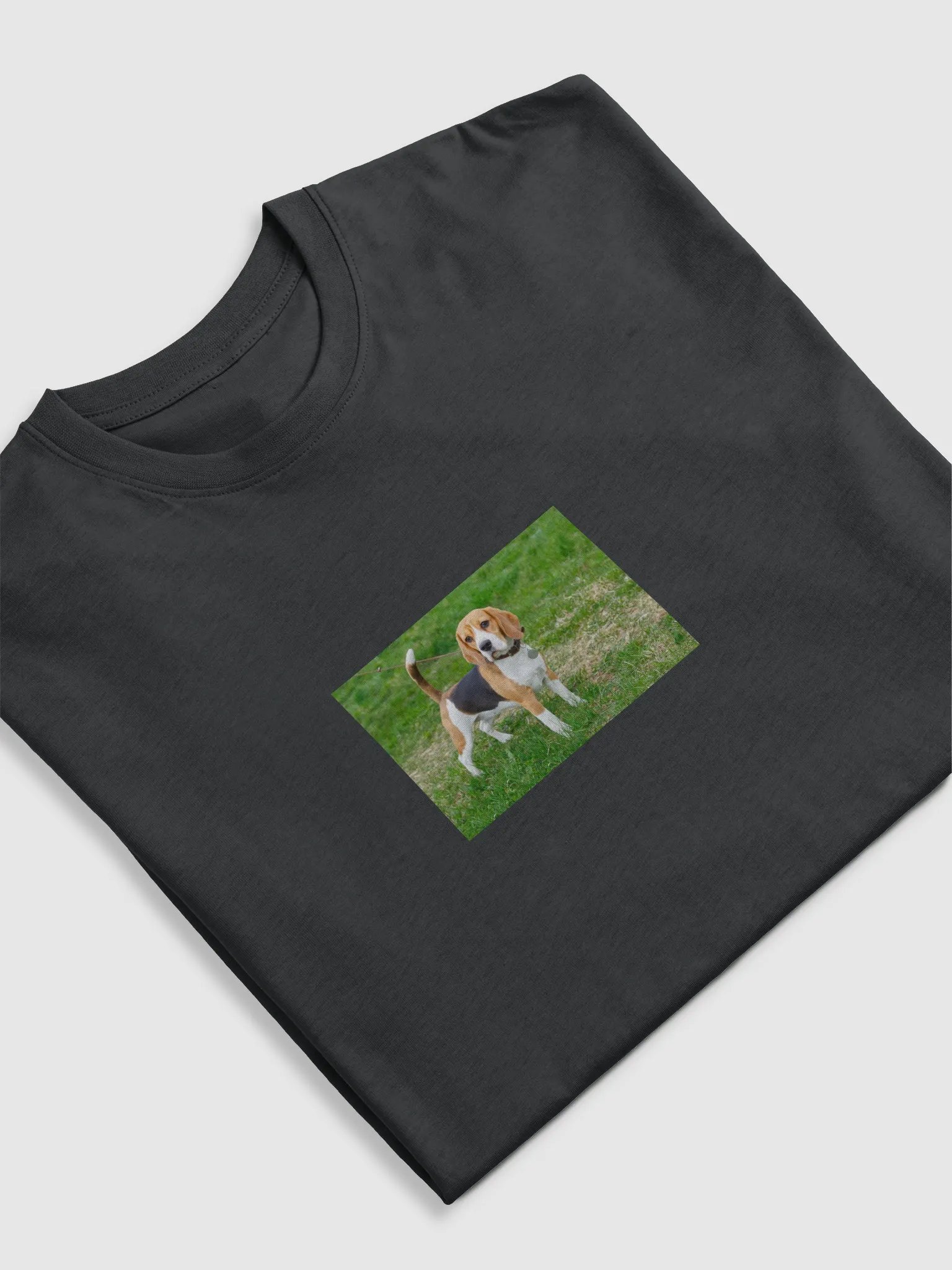 rabbbit dog product image (23)