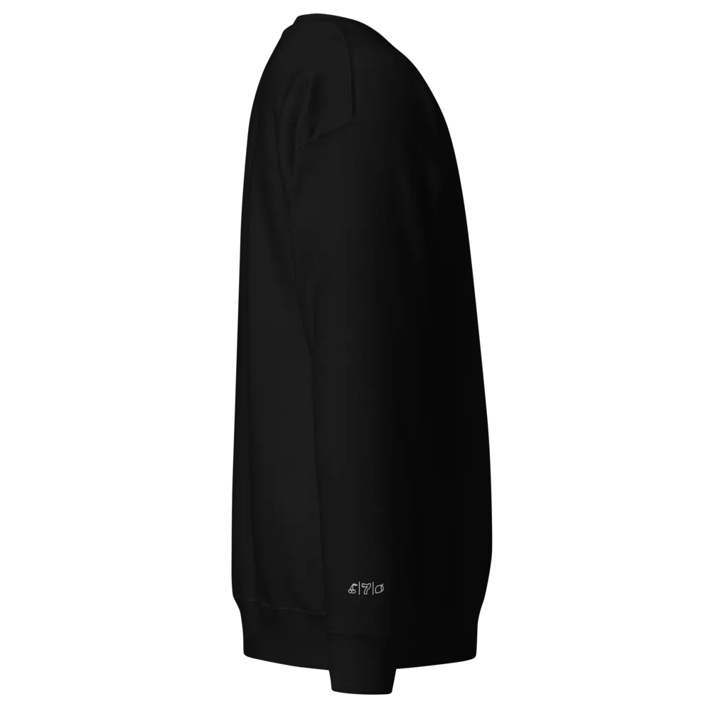 Cdog Spins Sweatshirt Embroided Black product image (2)