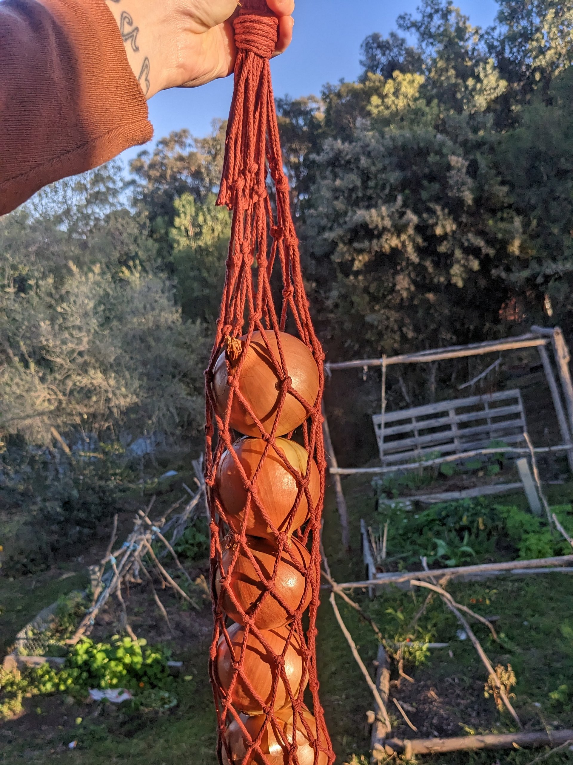 Fruit/Vegetable Bag product image (2)