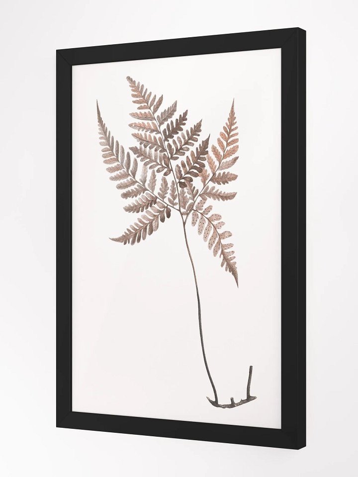 Ecotone Fern #1 Framed Print product image (2)