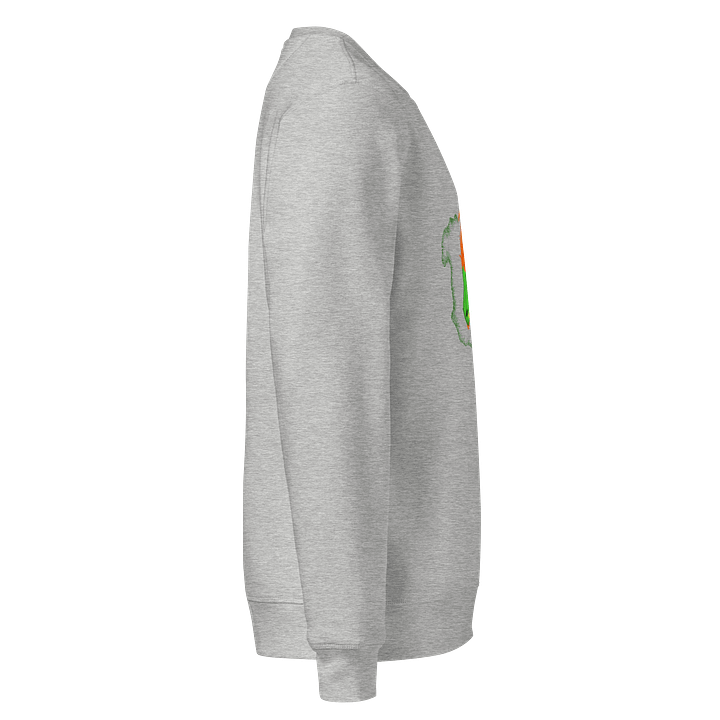 Dragon's Lair Organic Sweatshirt product image (2)