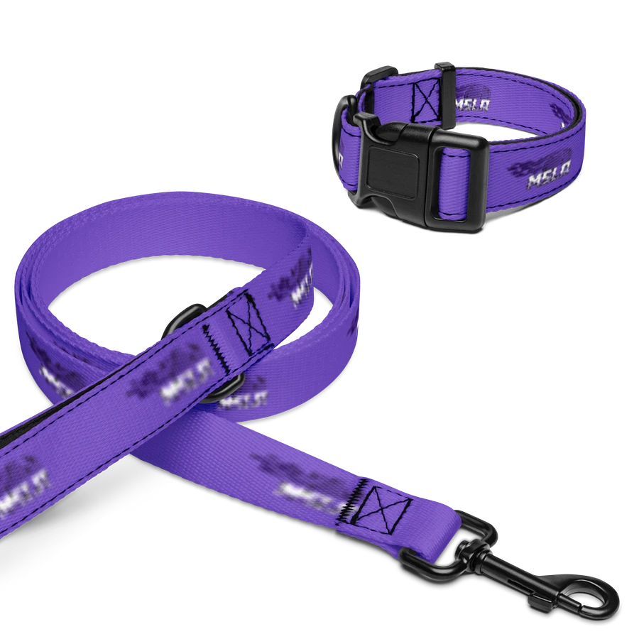 MSLA Purple Dog Leash and Collar product image (1)