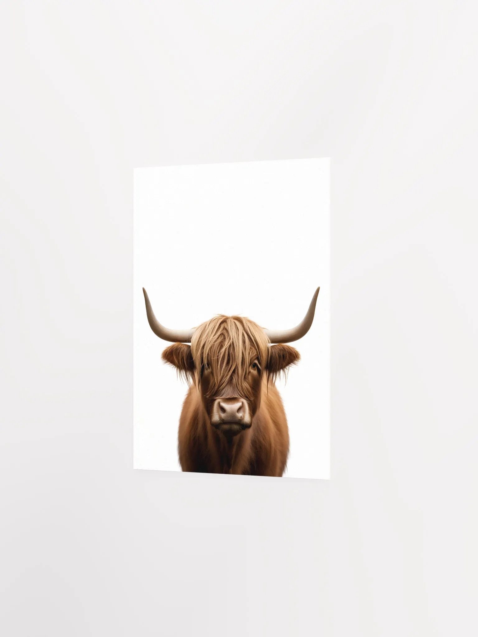 Highland Cow Portrait product image (4)
