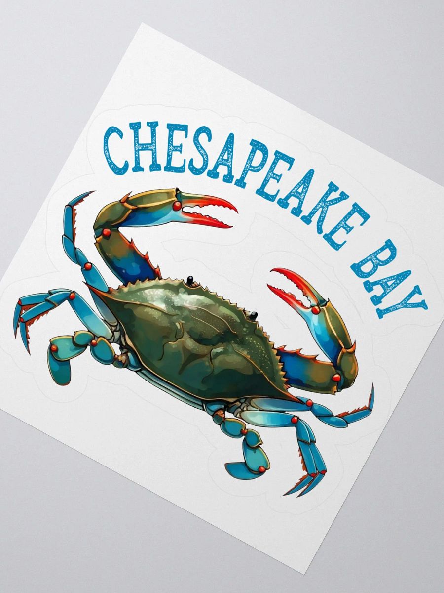 Chesapeake Bay Vintage Sticker product image (6)