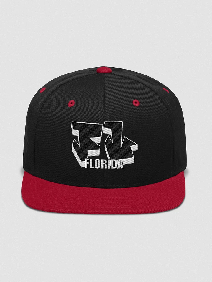 FLORIDA, FL, Graffiti, Yupoong Wool Blend Snapback Hat product image (1)