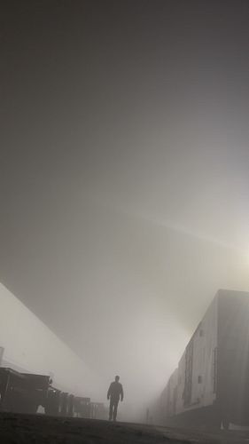 Live has been a daze and I can only hope I can make my dreams a reality #rare_xplor #2025 #newyearnewme #fog #daydream