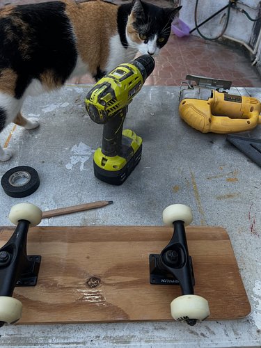 Catty helping me make a little sled to help a man who has a leg missing move easier to get in and out his home.