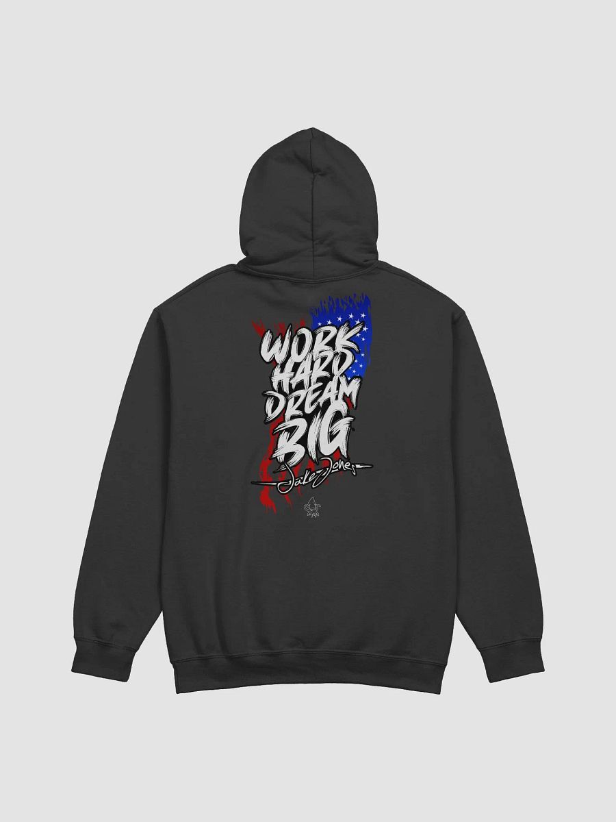 USA TOUR HOODIE product image (4)