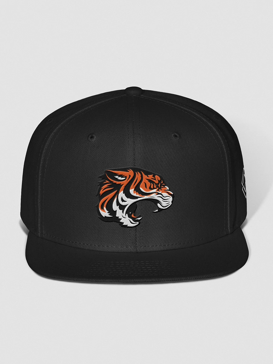 Wichita Wild Chosen Snapback Hat product image (5)