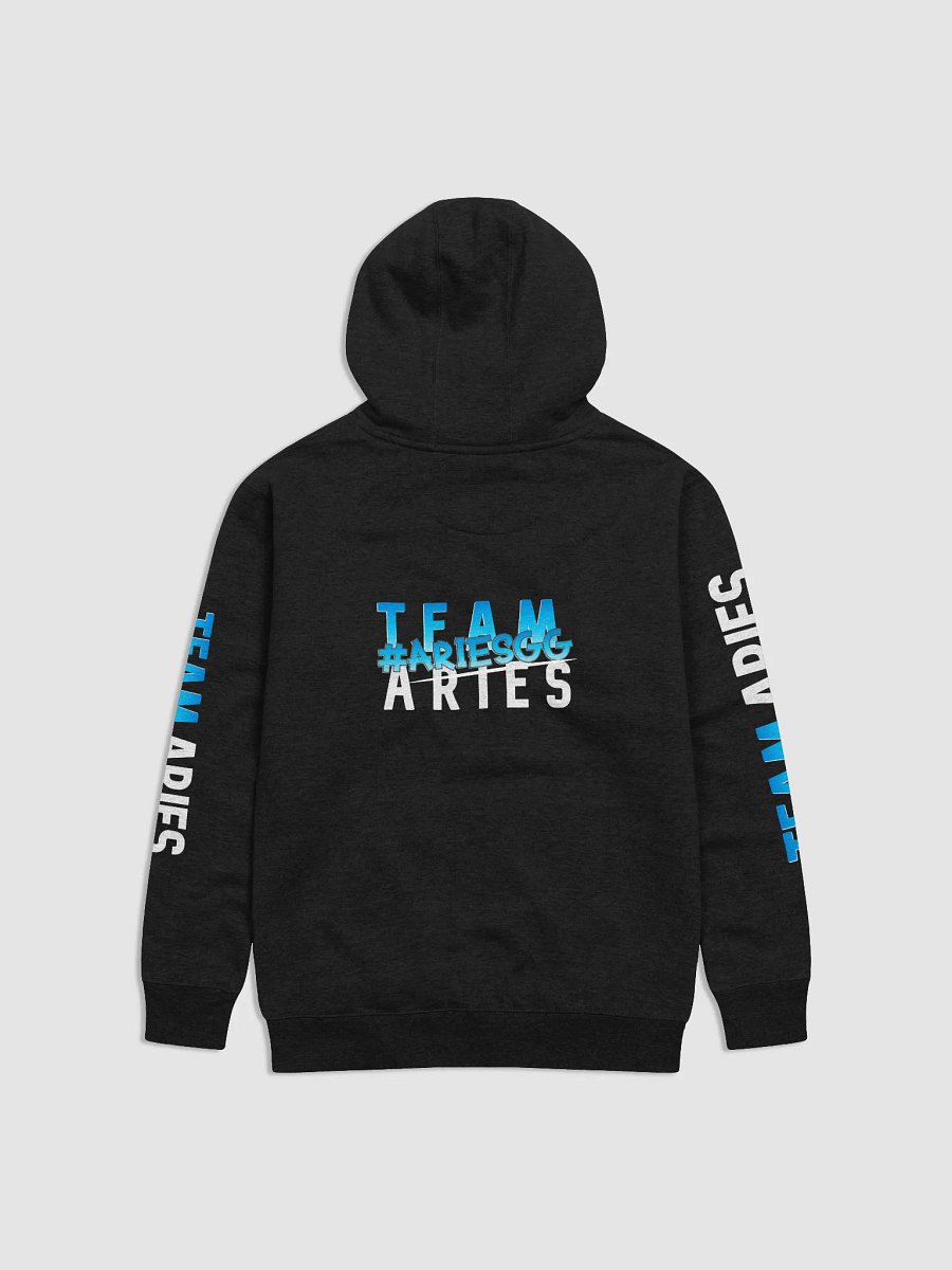 Team Aries Hoodie product image (2)