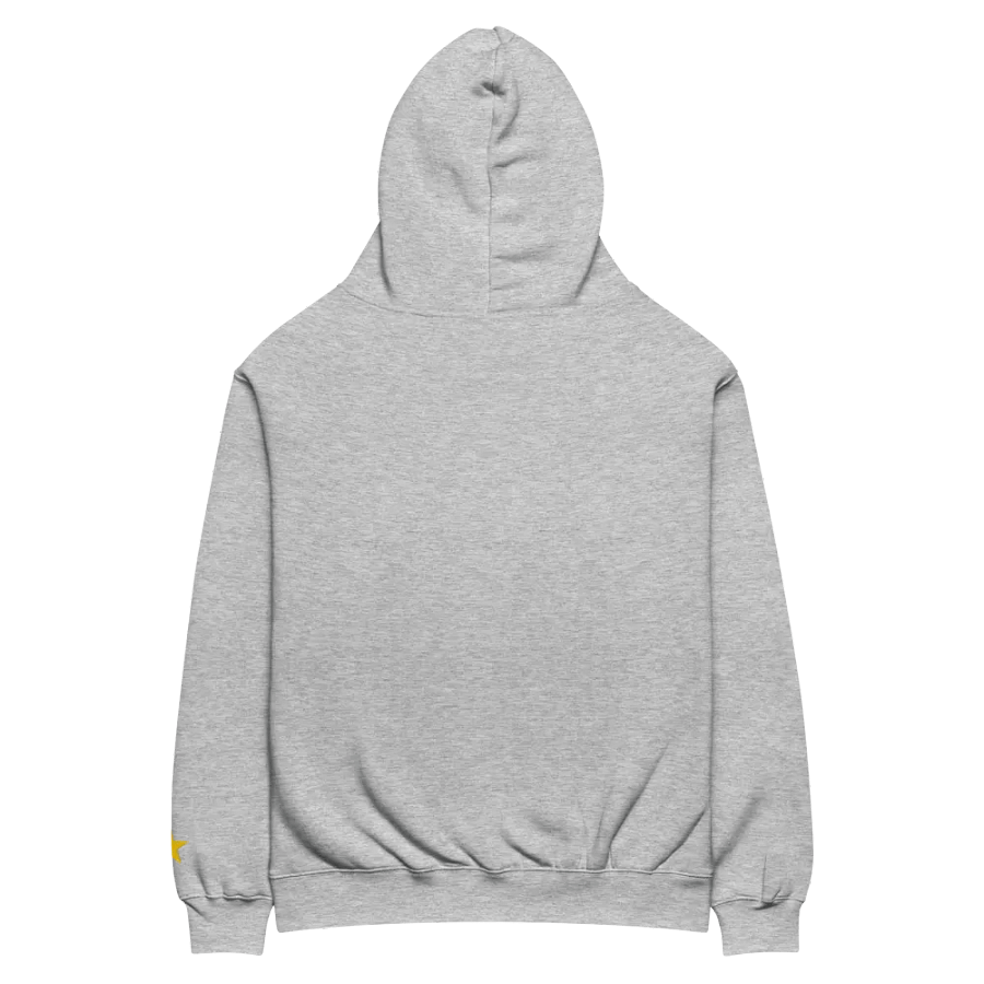 1 YEAR GOLDEN LONELY GOAT Unisex Premium Oversized Hoodie product image (5)