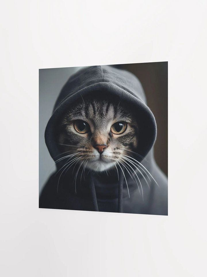 Hacker Cat product image (2)