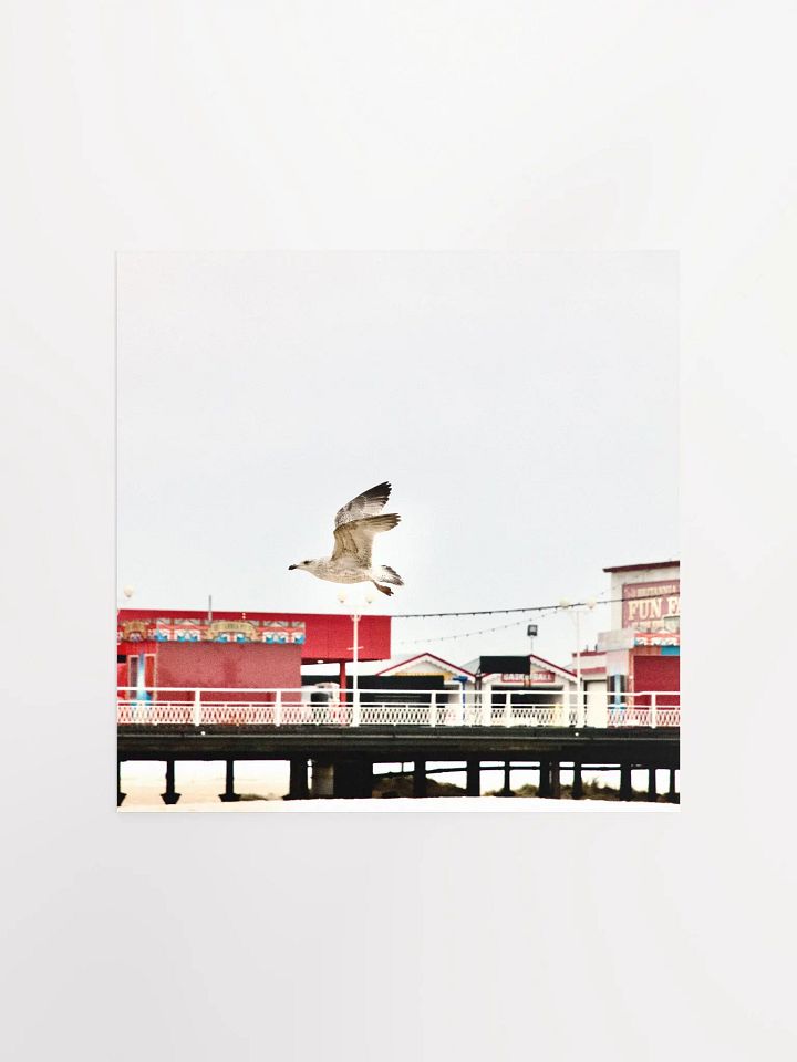 Young Gull Flying over a Fun Fair Poster product image (2)