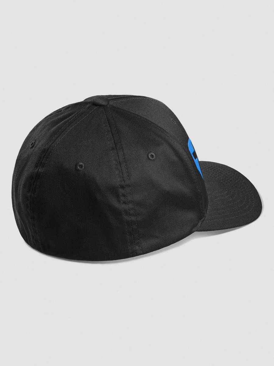 Acoustic Selection Custom Flex Fit Hat product image (5)