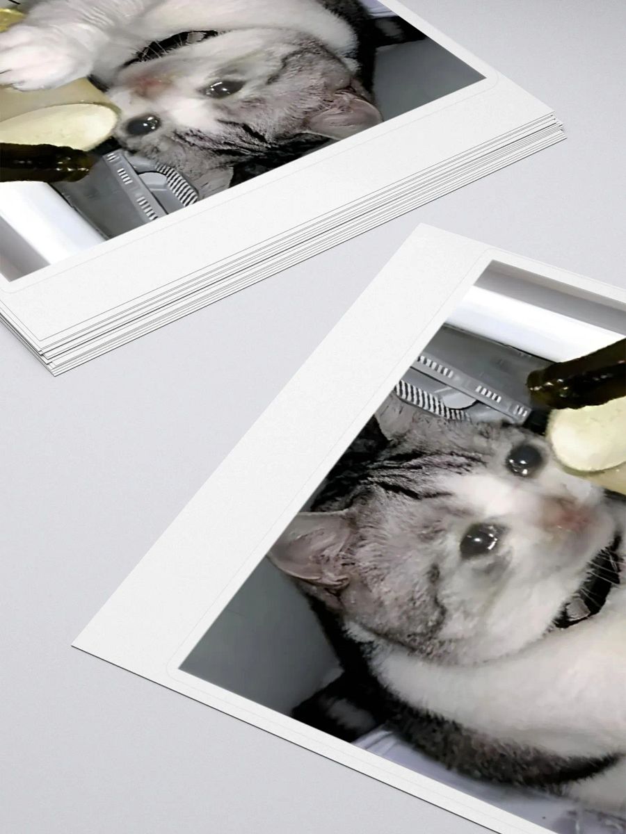 Kiss Cut Stickers: Meme Cats product image (4)