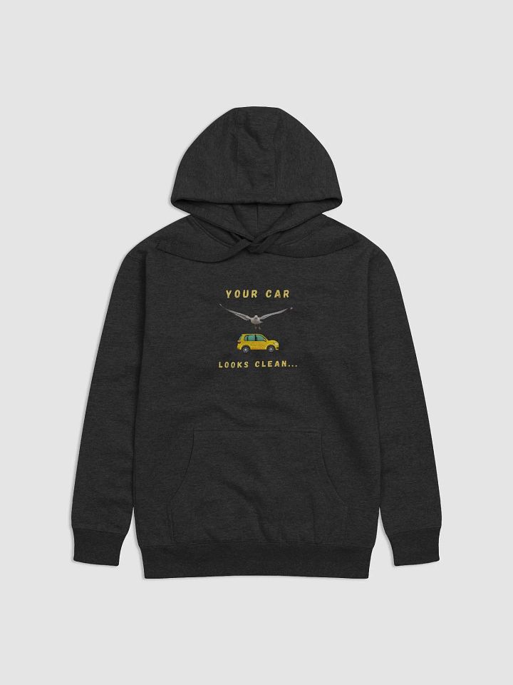 Your Car Looks Clean... Seagull Hoodie product image (1)
