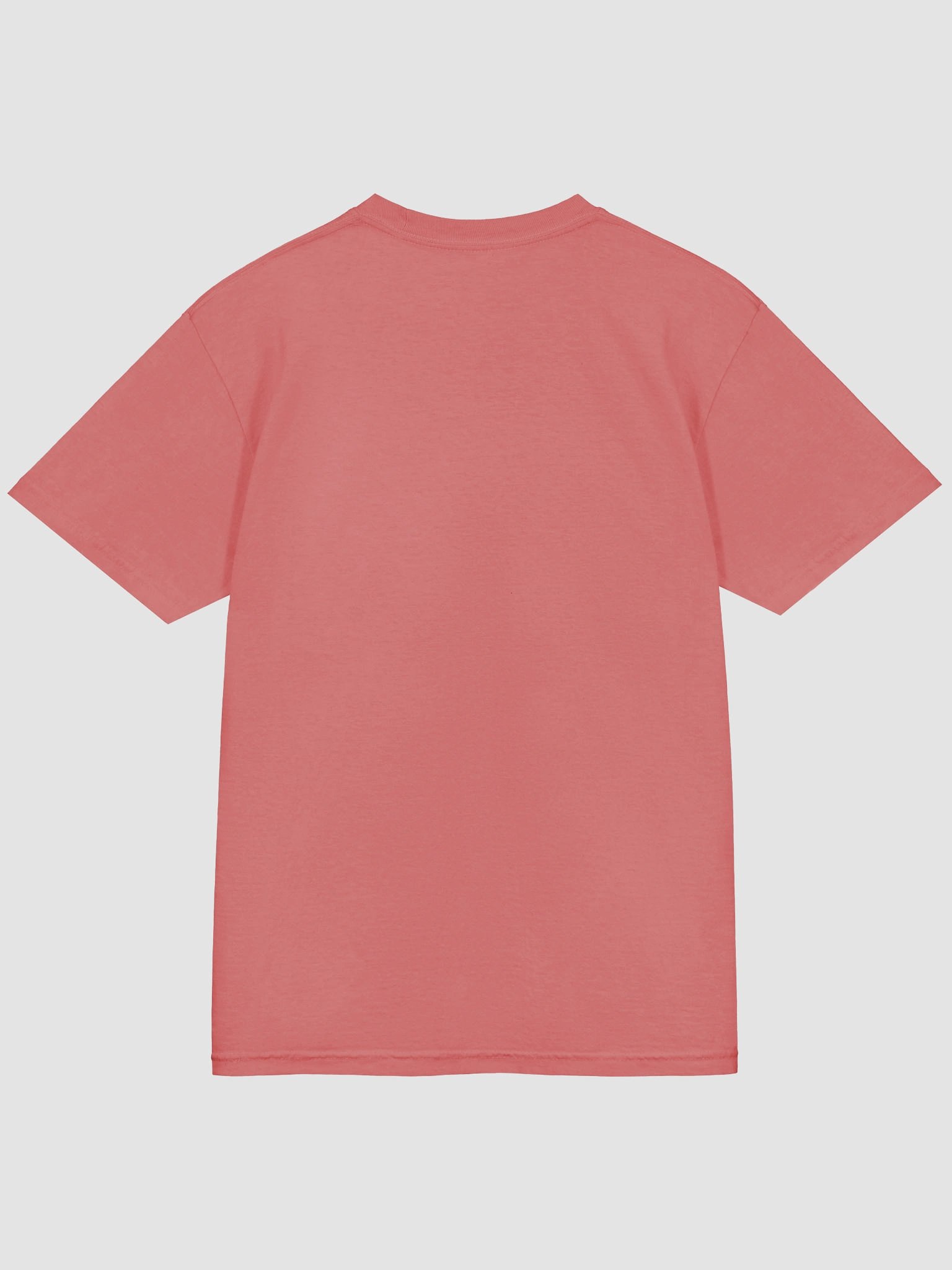 Spartan Legacy Graphic Tee product image (4)