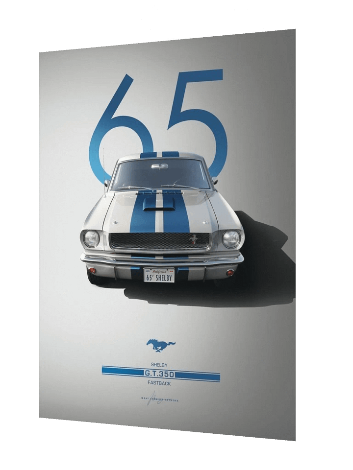 GT 350 product image (2)